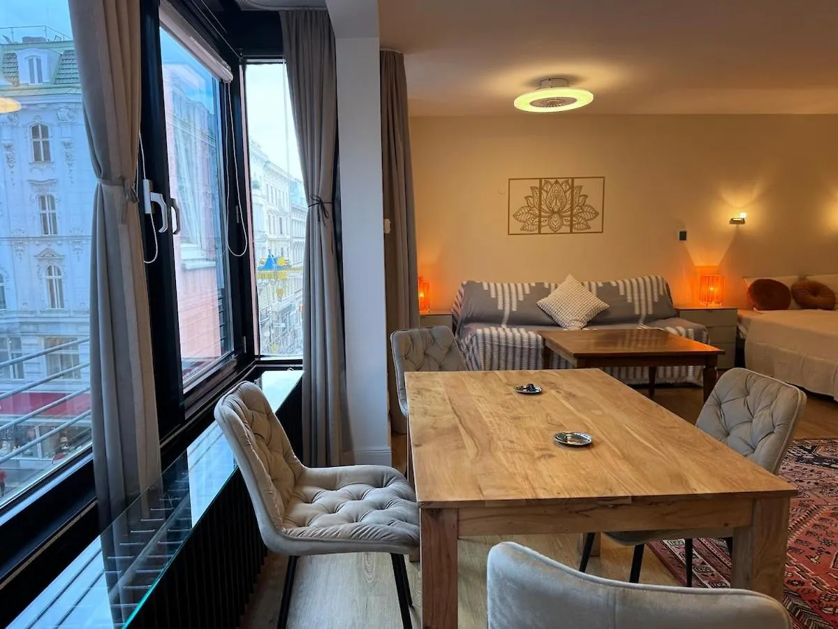 Sunny Citycenter Studio Near Main Shopping Street Vienna Apartment