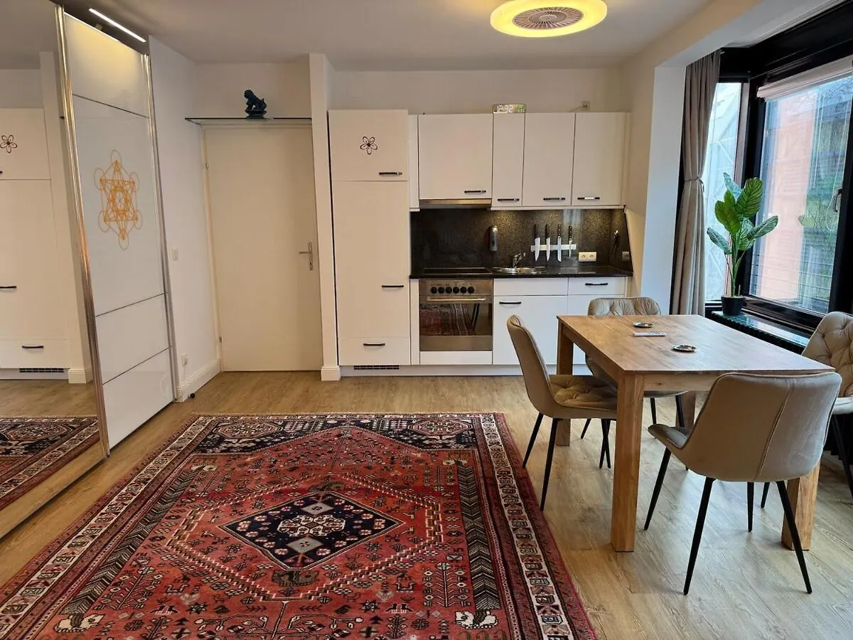 Apartment Sunny Citycenter Studio Near Main Shopping Street Vienna Austria